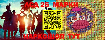 стаф Обнинск